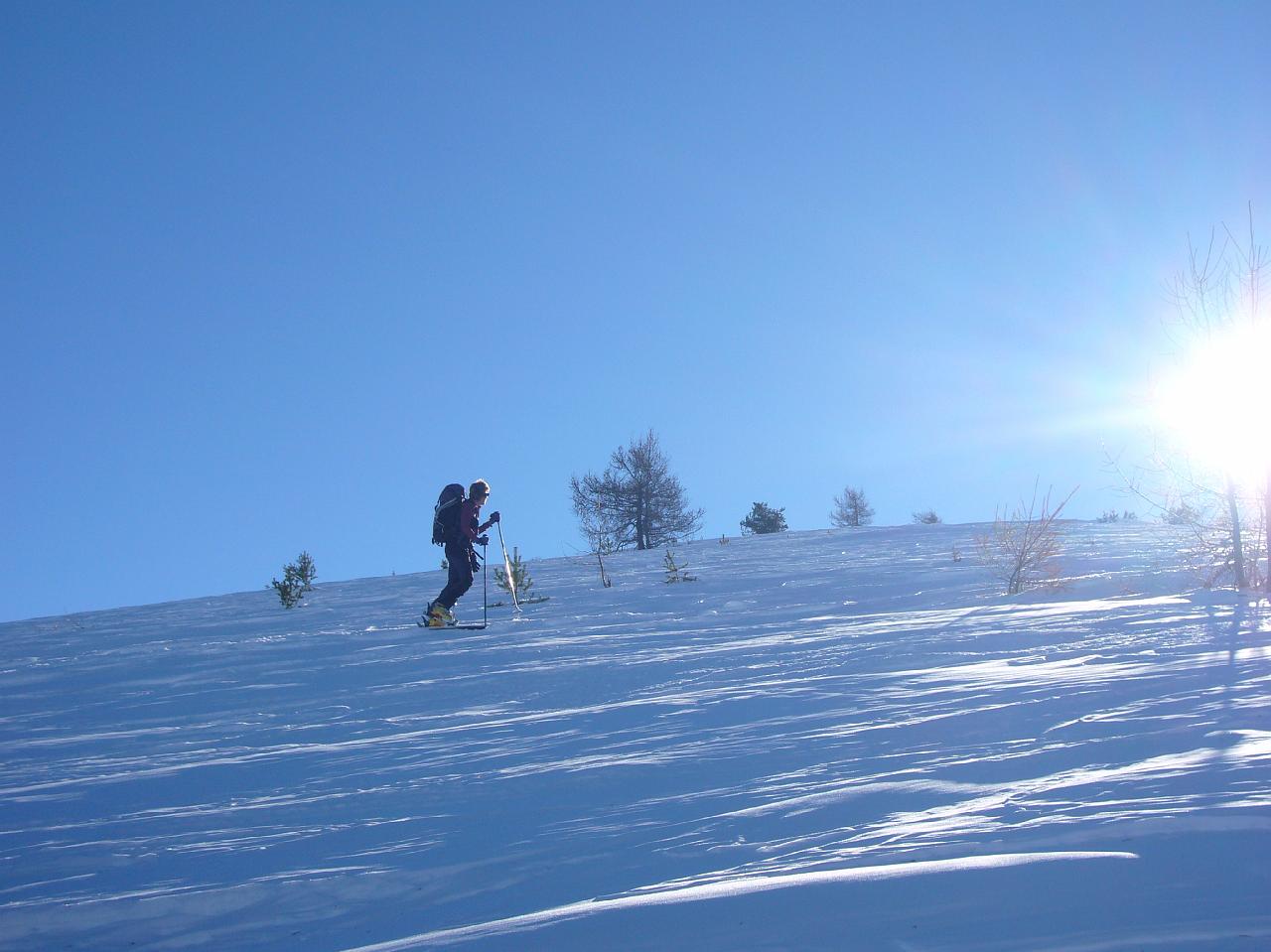 P1040231.JPG
