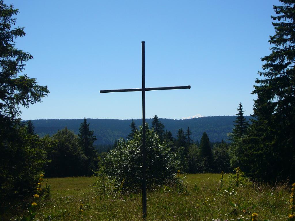 P1030413.JPG
